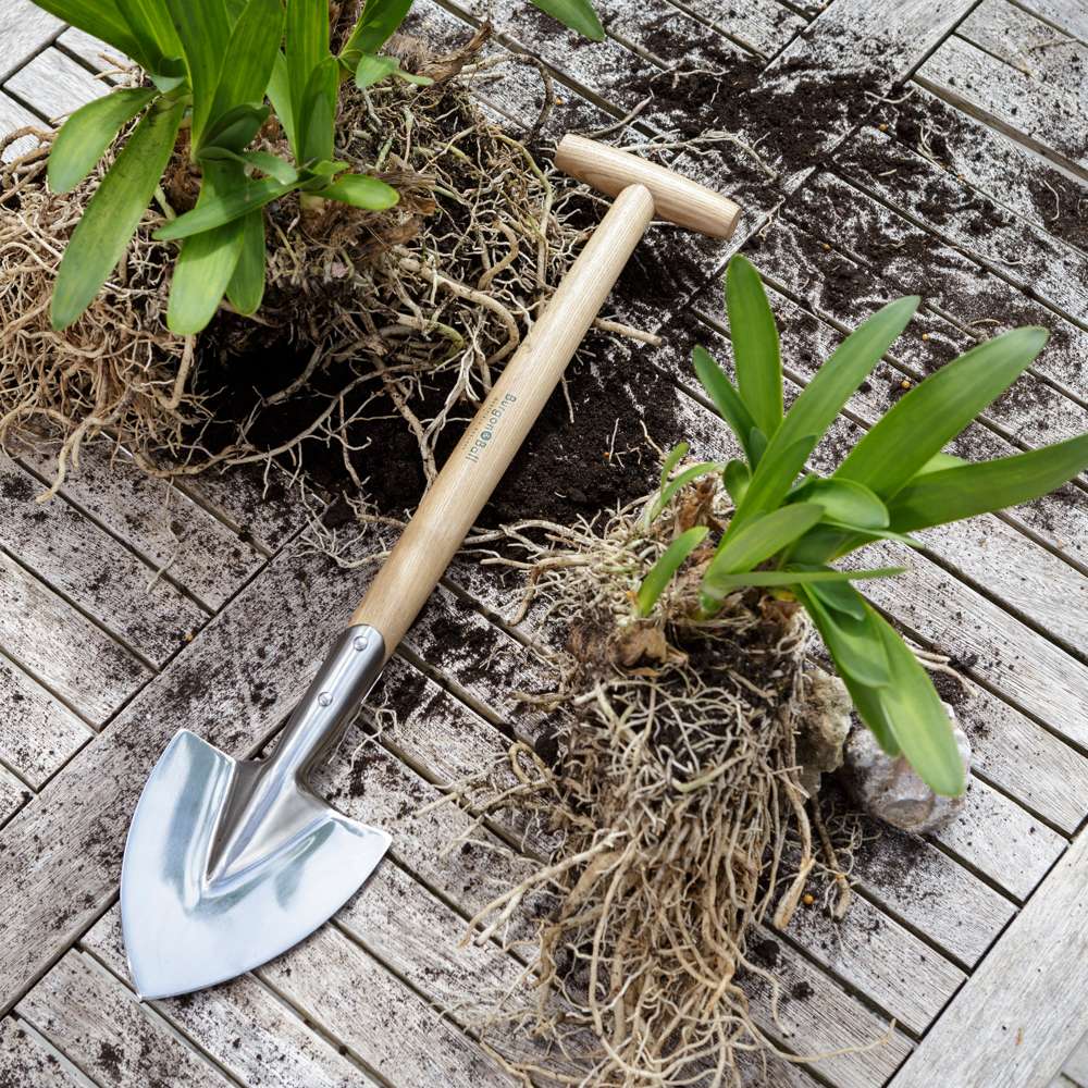RHS Perennspaden